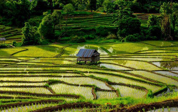 excursions tours in  Chiang Mai